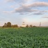 Адахаўшчына  . Храм прарока Іллі