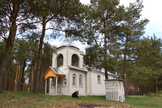 Гнесічы. Храм прападобнага Елісея Лаўрышаўскага