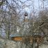 Дамашаны. Храм абраза Божай Маці "Ціхвінскі"